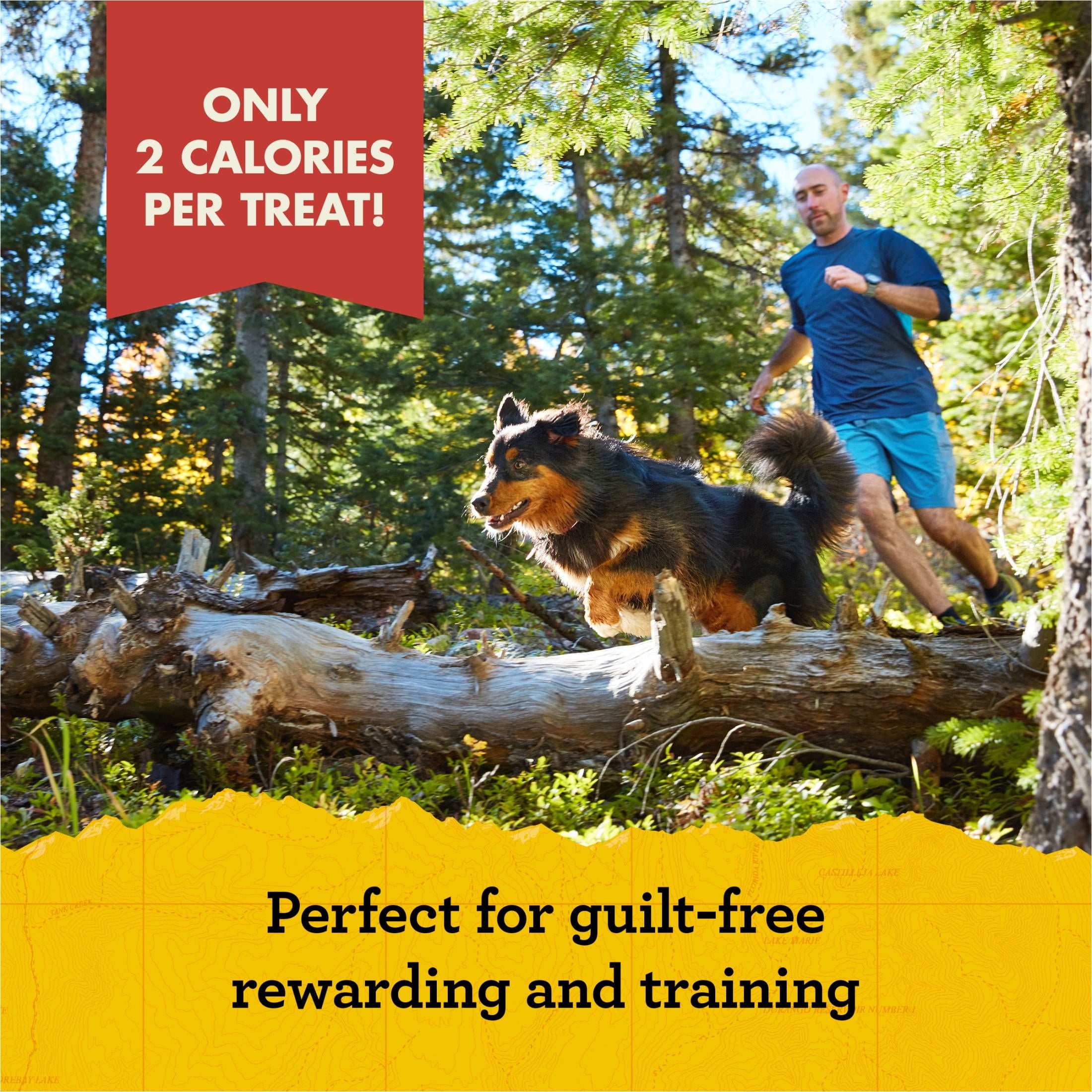Zuke’s Mini Naturals Dog Training Treat Bites, Soft, Chewy, And Natural Bag Of Treats For Dogs, Chicken Recipe - Image 5