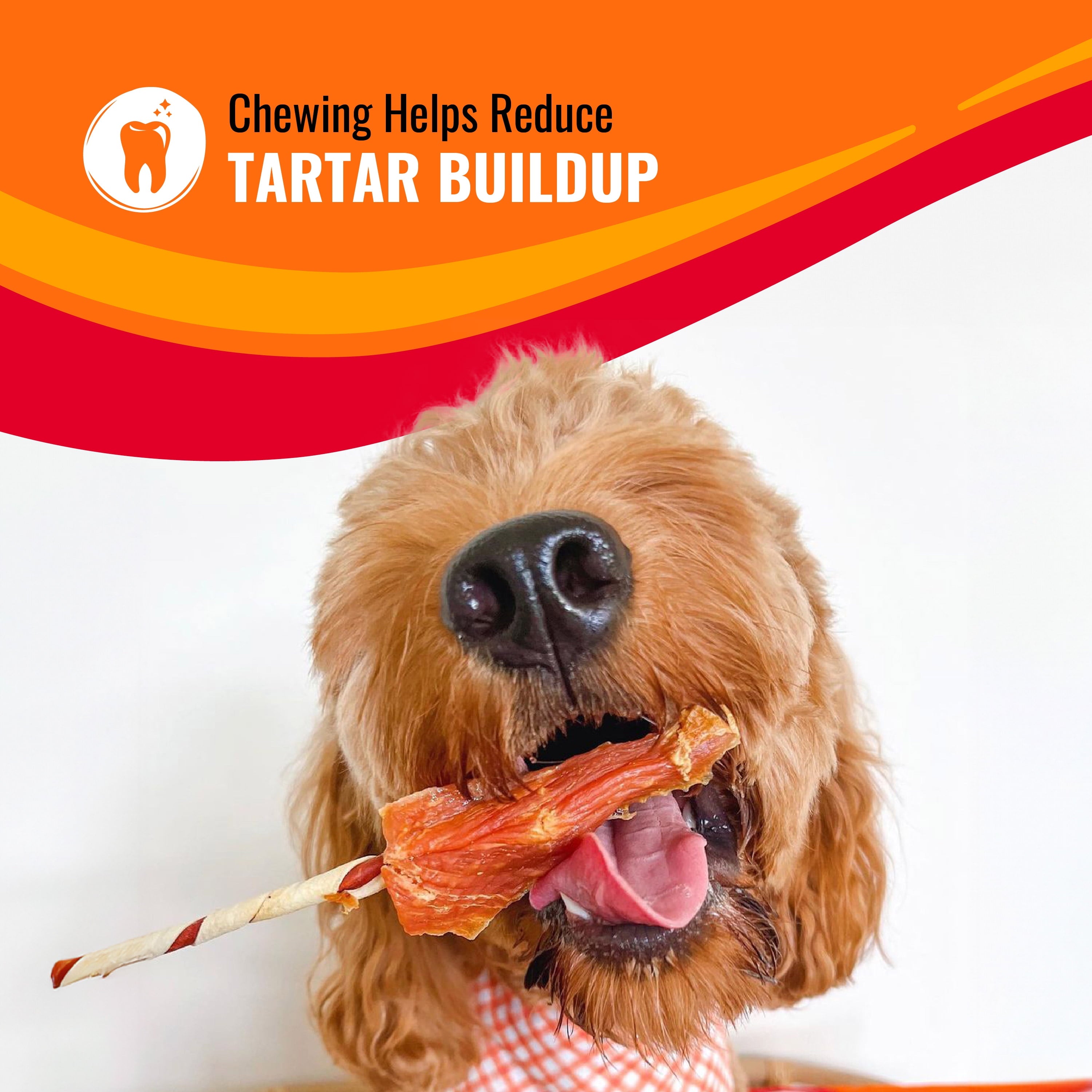 Triple Flavor Kabobs, Rawhide Chews for All Dogs, 12 oz - Image 5