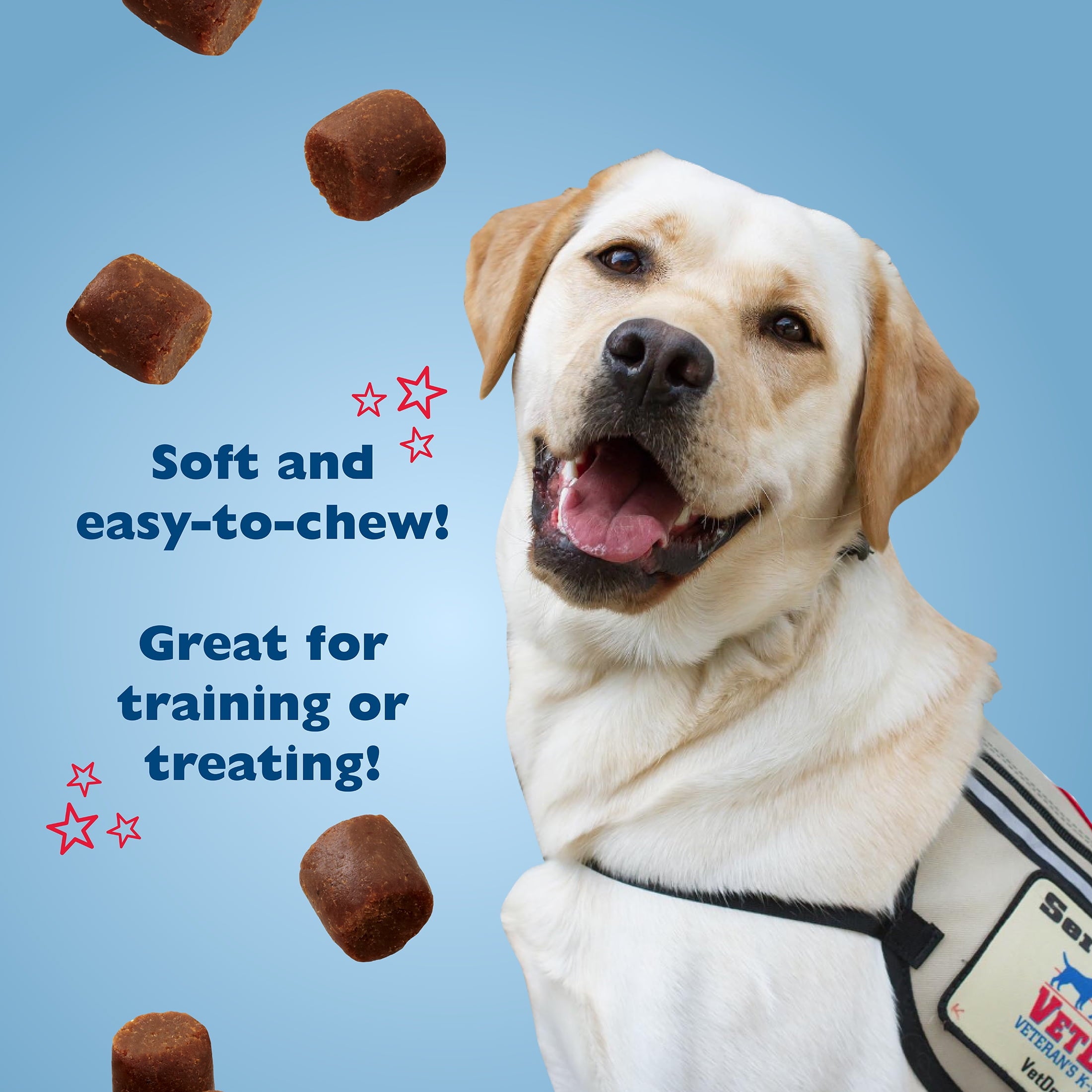 VetDogs Veteran's K-9 Corps Training Treat for Dogs, Peanut Butter Flavor, 4 oz. - Image 3
