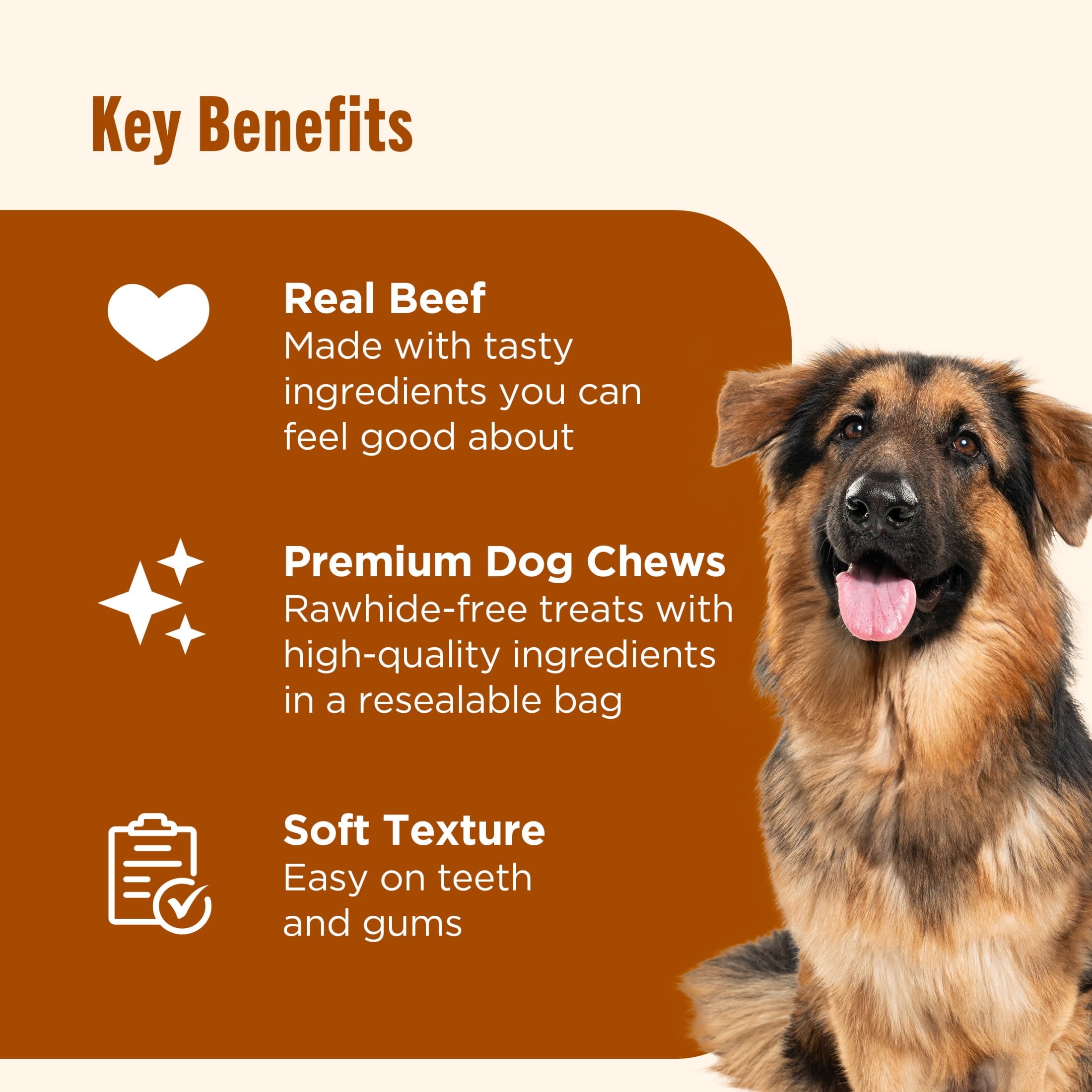 Soup Bones Premium Dog Chews with Real Beef and Barley, 6 Chews (Rachael Ray) - Image 4