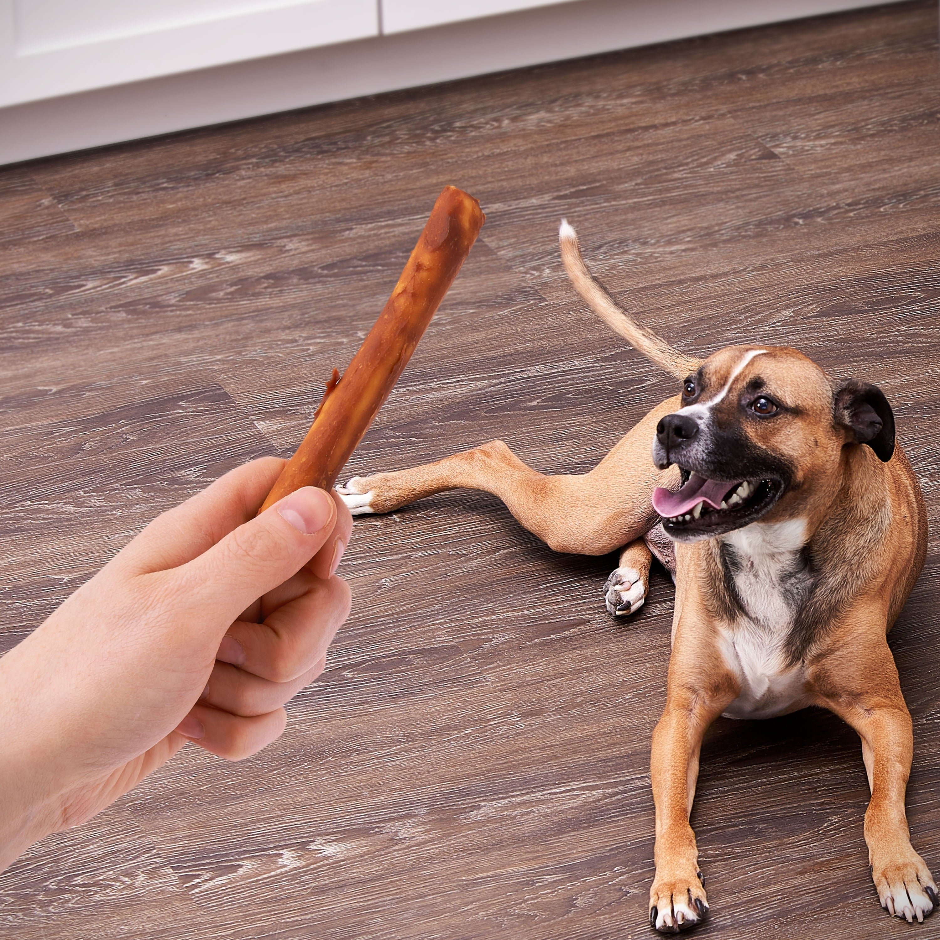 Rawhide Free Peanut Butter Retriever Sticks, 3.5 oz, 10 Count - Image 2