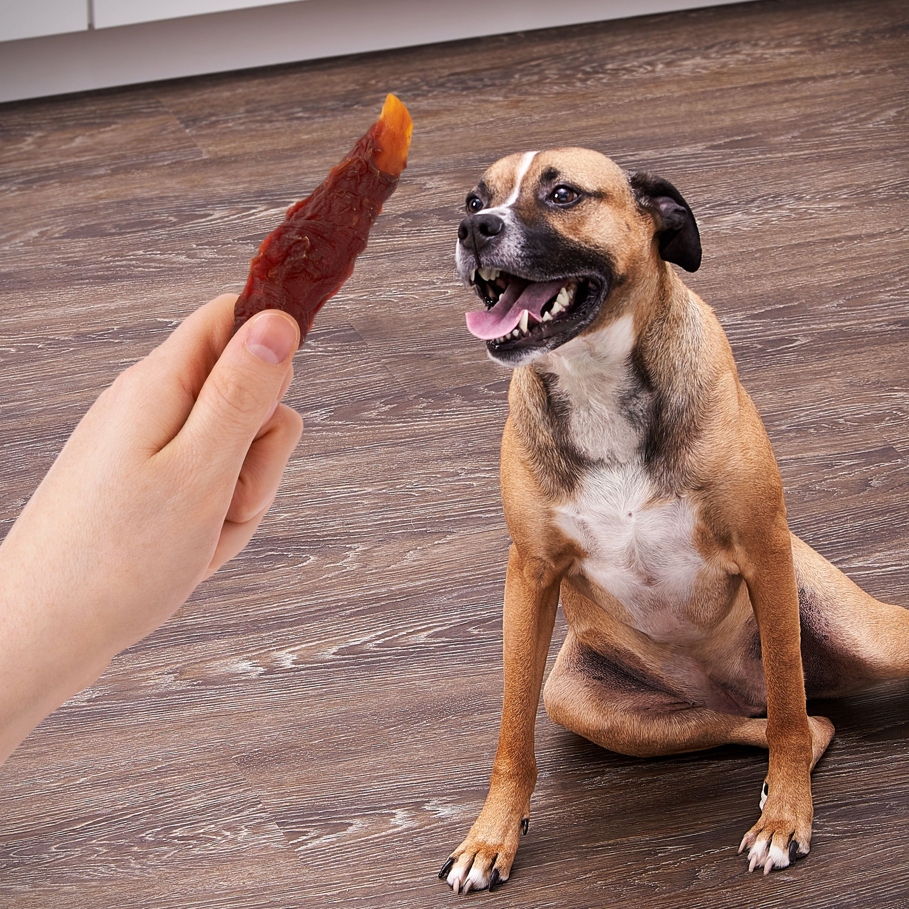 Sweet Potato Wrapped with Duck Premium Treats for Dogs, 16 oz Bag - Image 2
